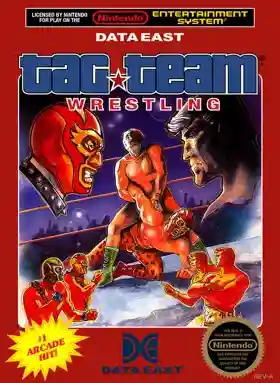 Tag Team Wrestling (USA)